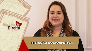 Explica Direito Filiação Socioafetiva  2019 [upl. by Otsenre487]