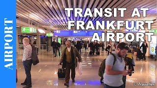 TRANSIT WALK AT FRANKFURT Airport FRA Terminal 1  Connection Flight Transfer Arriving amp Departing [upl. by Anaahs21]